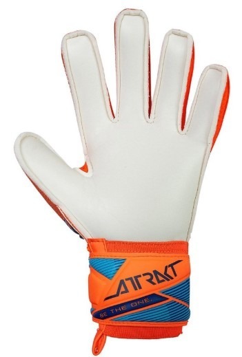 Reusch Attrakt Solid Worldcup - Afbeelding 4