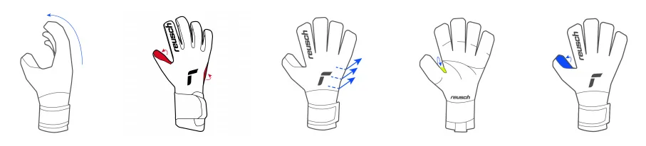 Reusch Attrakt Duo Evolution 2026 - Afbeelding 7